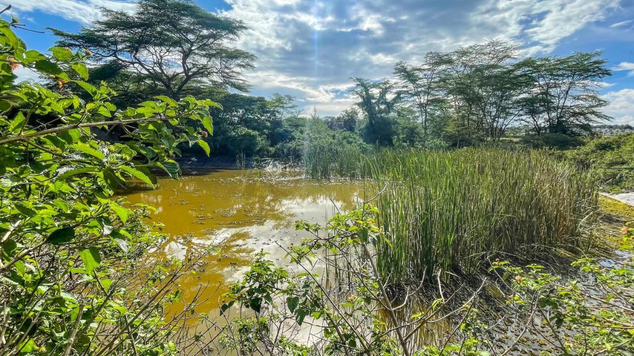 The Treehouse Villa Nakuru Kültér fotó